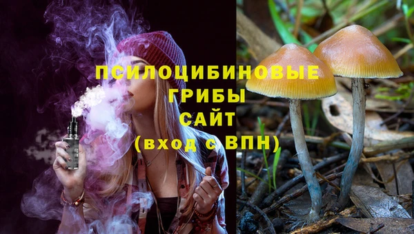соль ск Вязьма