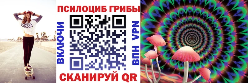 Псилоцибиновые грибы Psilocybine cubensis  где можно купить наркотик  Химки 